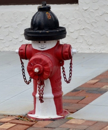 Upon arriving to the charming mountain town of Saluda, the first thing Bob wants to show me is their hydrants. Love it!