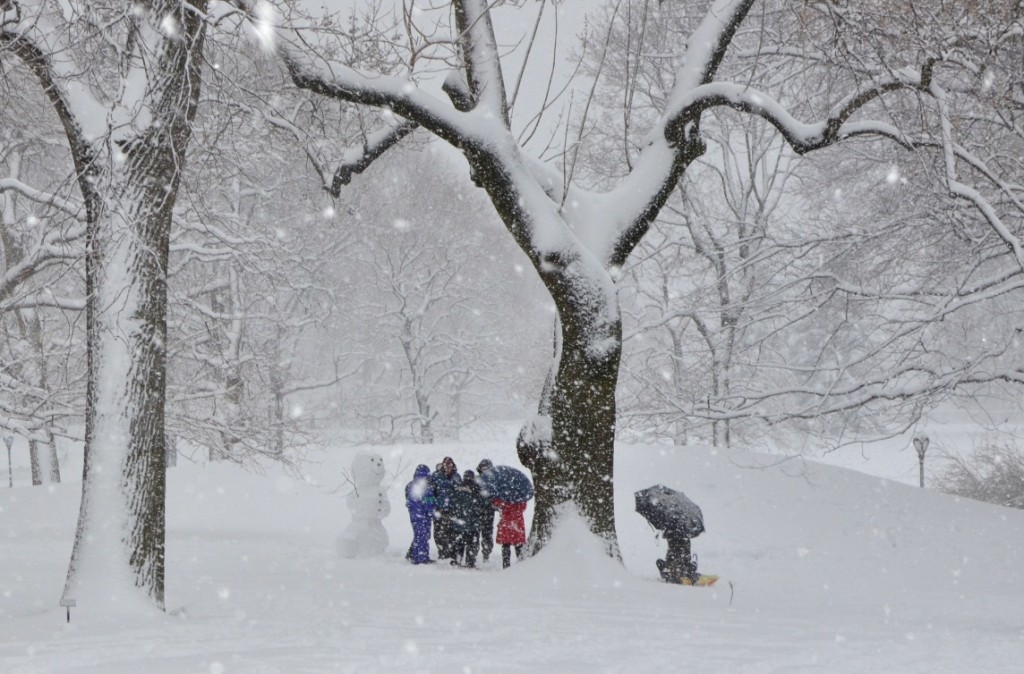 Central Park Snowman!! 